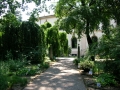 ortobotanico.jpg